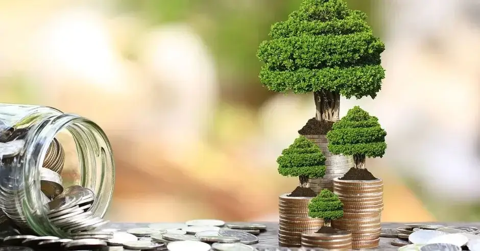 Imagen de dinero y árbol