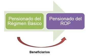 Descripción de quienes pueden optar por el rop